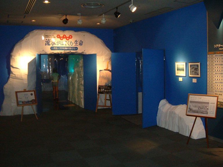 展示・ディスプレイ
